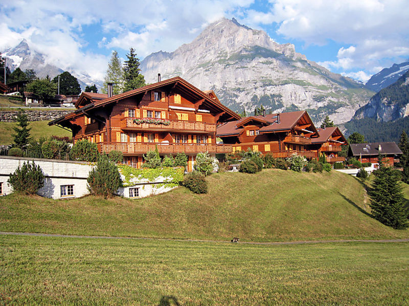 Cortina