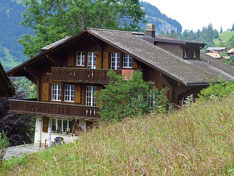 Drei Tannen