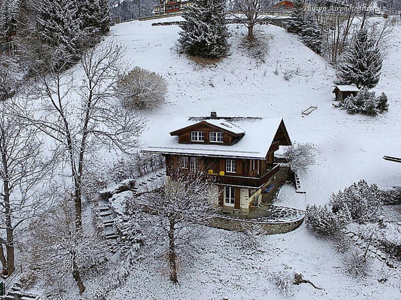 Drei Tannen