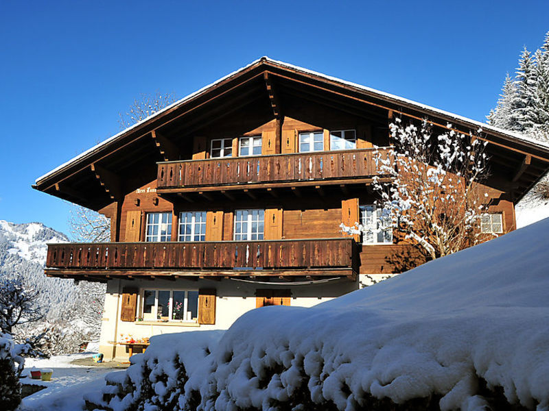 Drei Tannen