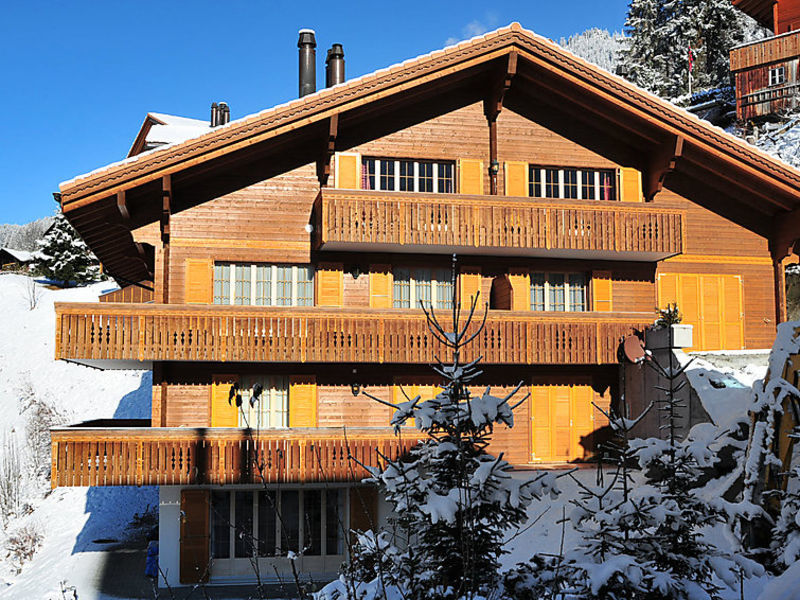 Panorama