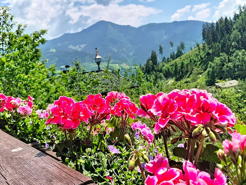 alpenHIT Zell am See