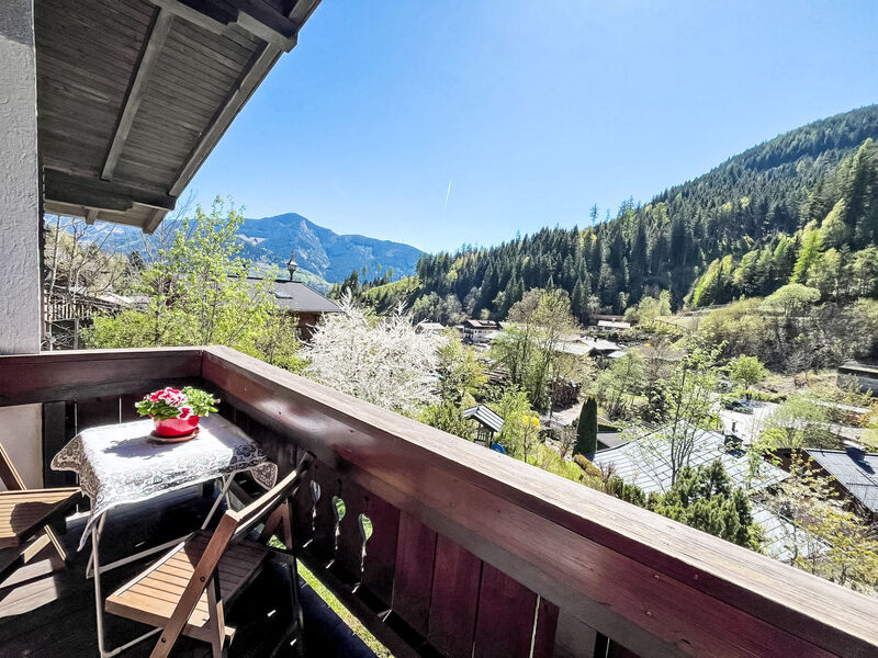 alpenHIT Zell am See