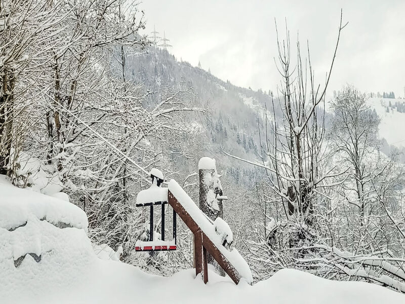 Chalet Kitzsteinhorn