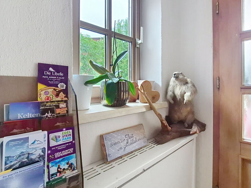 Boutique Appartement Tauernblick