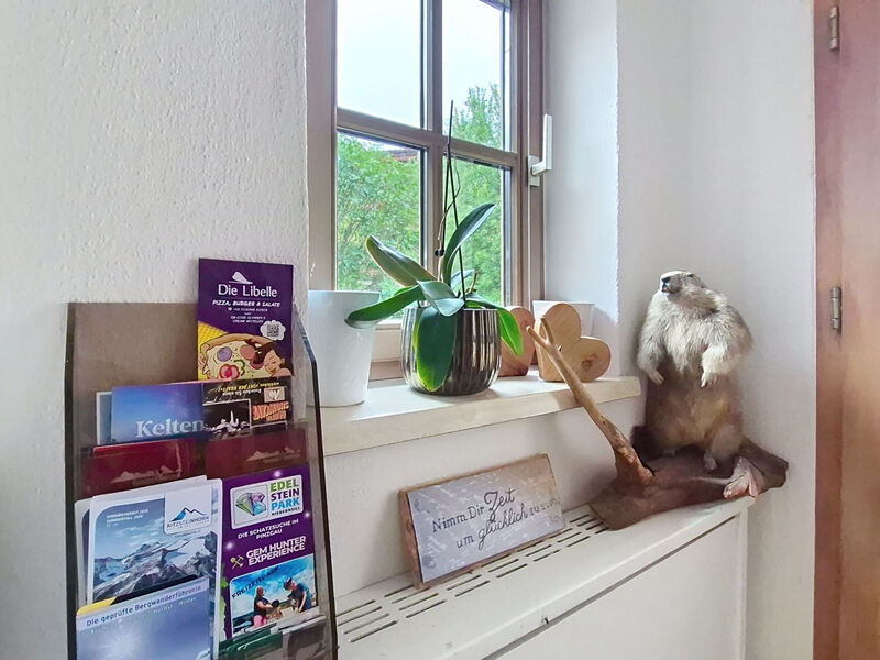 Boutique Appartement Tauernblick