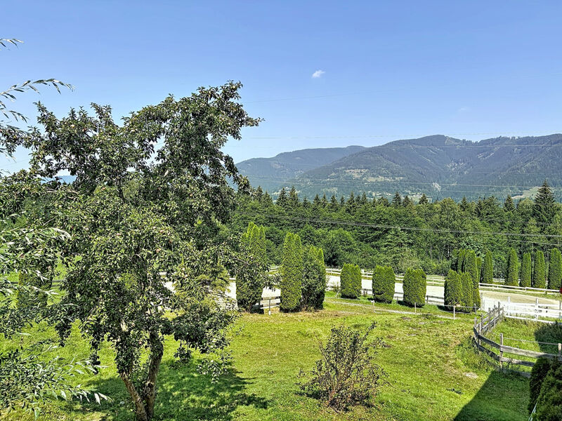 Edelweiss 1