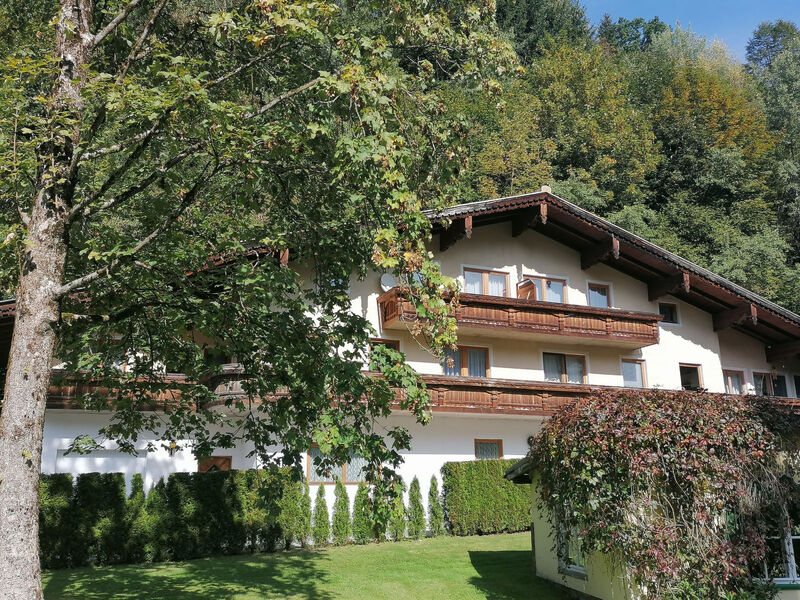 nahe den Skigebieten und Ausgangspunkt zu Sehenswürdigkeiten