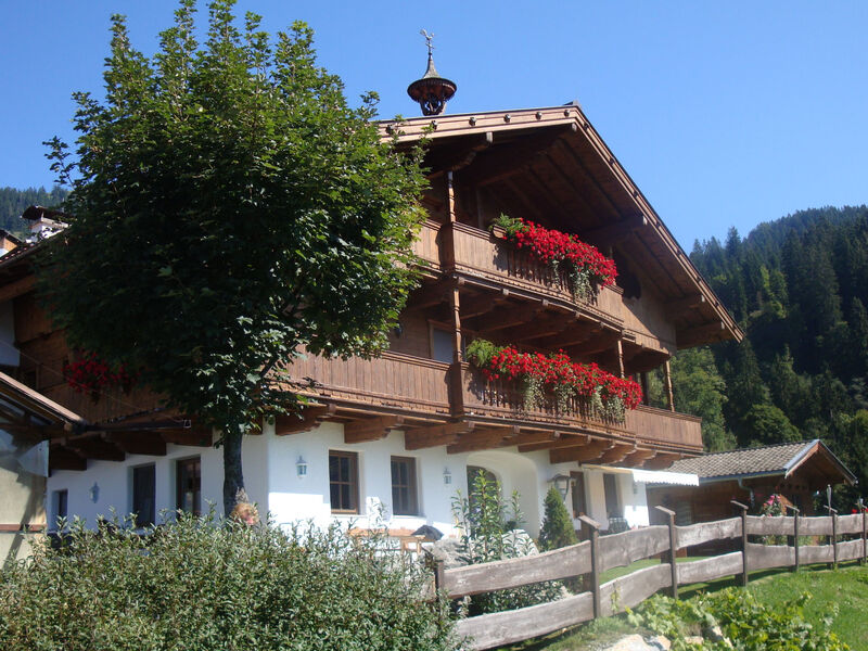 Hohe salve