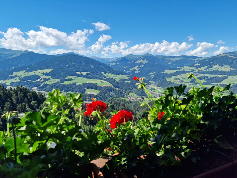 Hohe salve