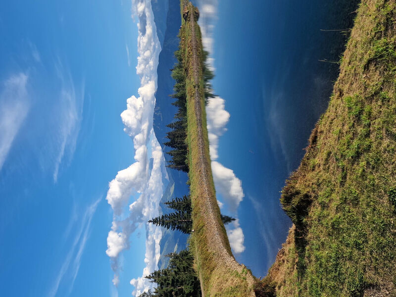 Hohe salve