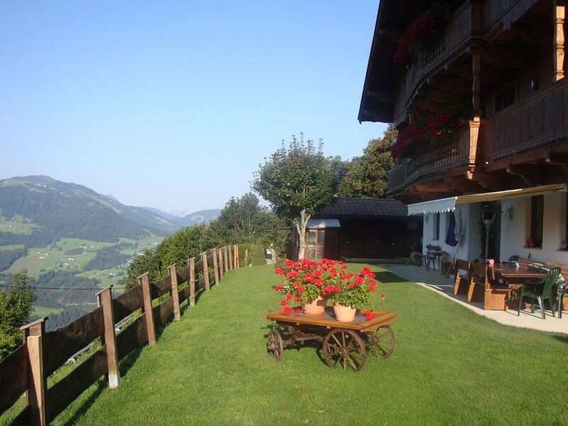 Hohe salve