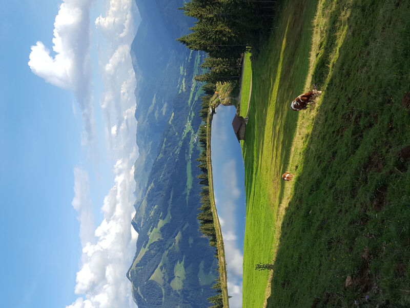 Hohe salve
