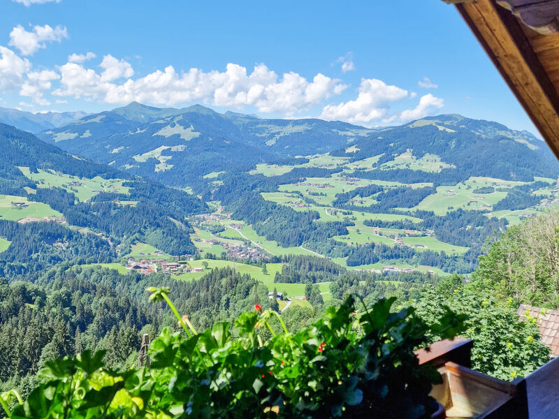 Hohe salve
