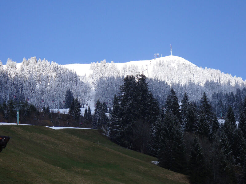 Hohe salve