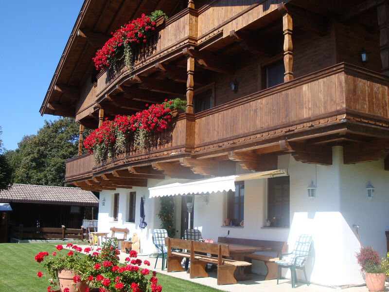 Hohe salve