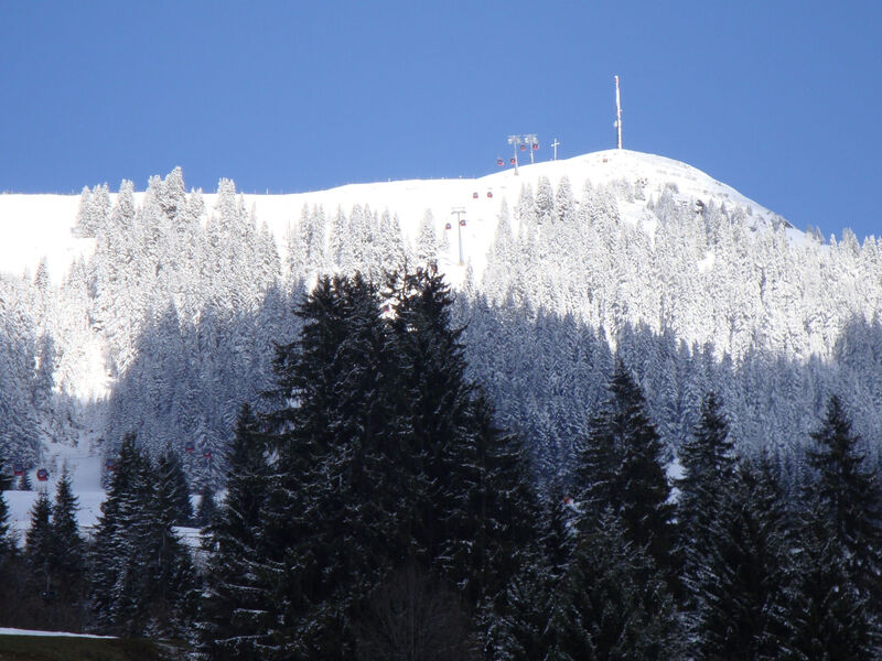 Hohe salve