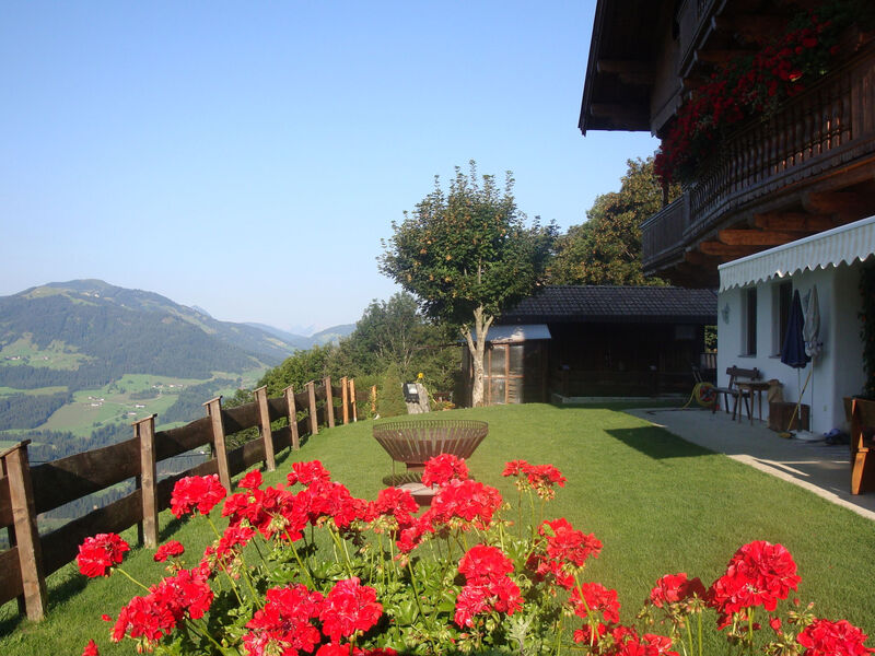 Hohe salve