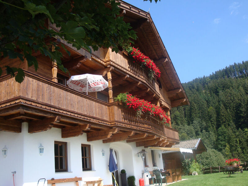 Hohe salve