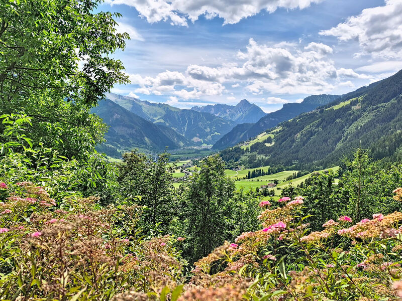 Brandnerhof