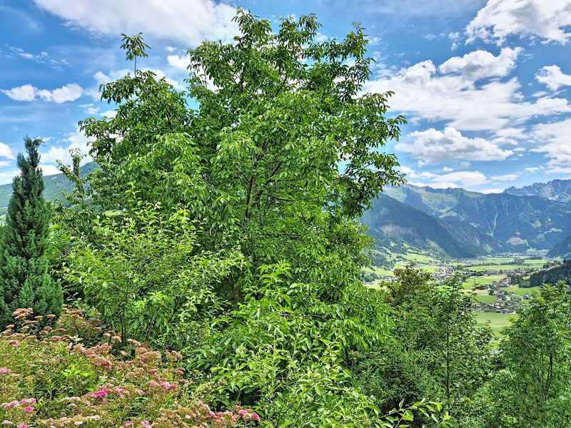 Brandnerhof