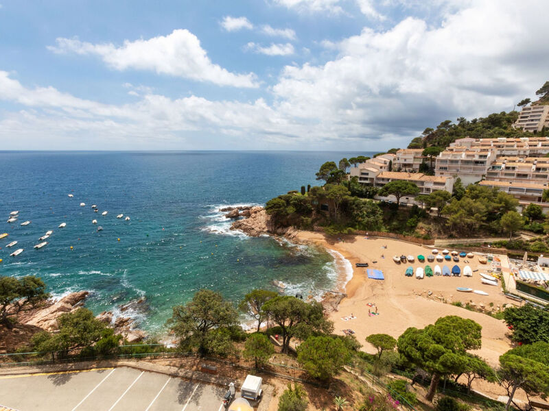 Punta Aromir