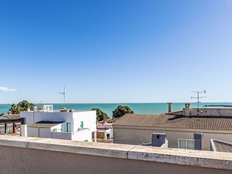 Dorada