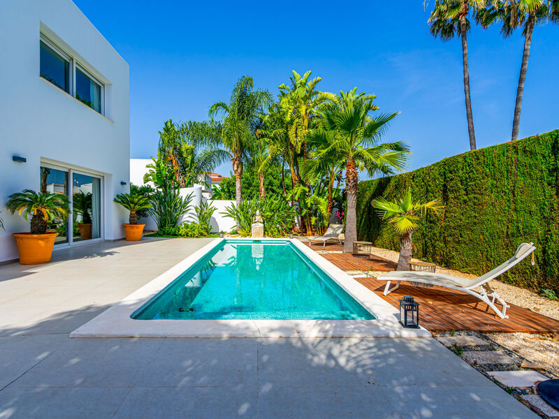 Zenith Denia