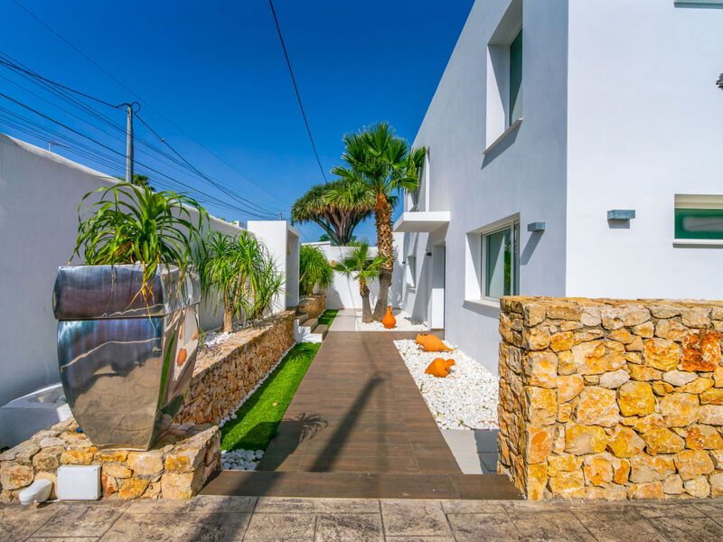 Zenith Denia