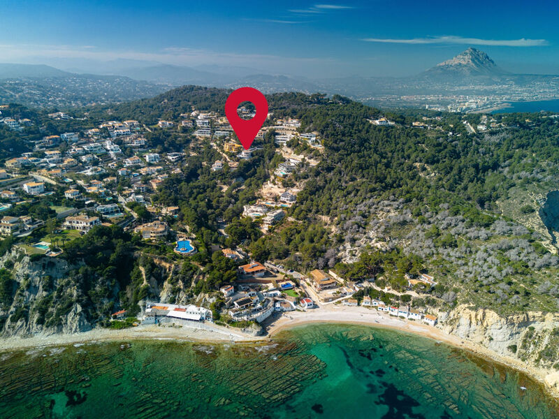 Tintorera Mar Azul