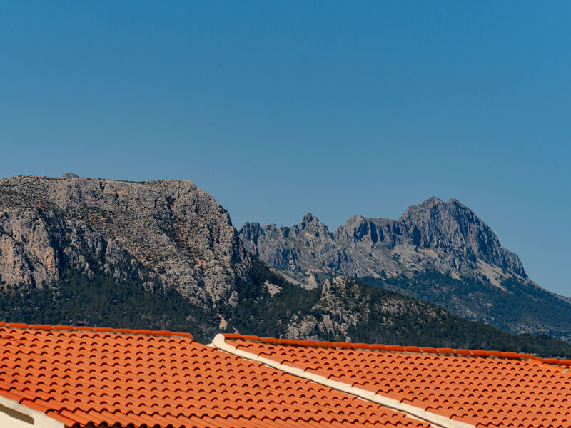 Buena Vista