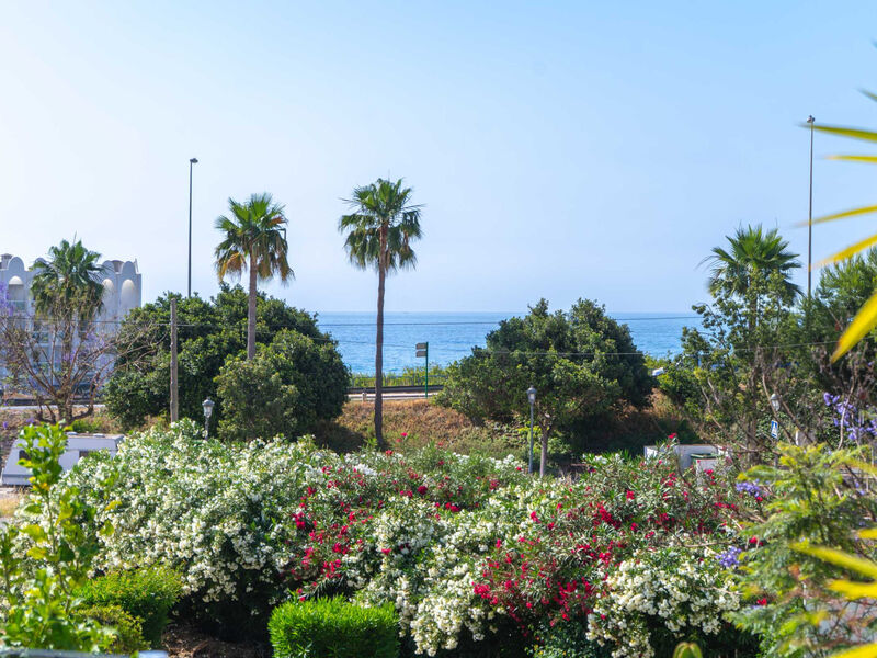 Tropicana 6C by Casasol