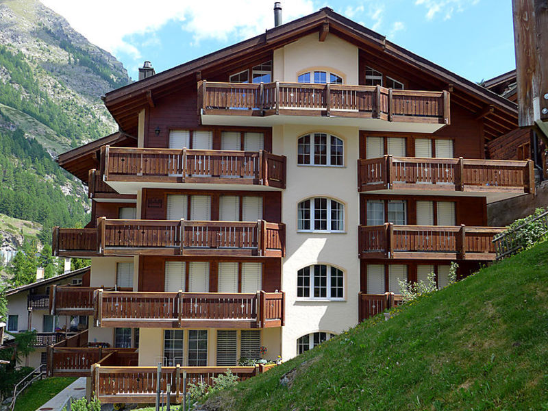 Aquila