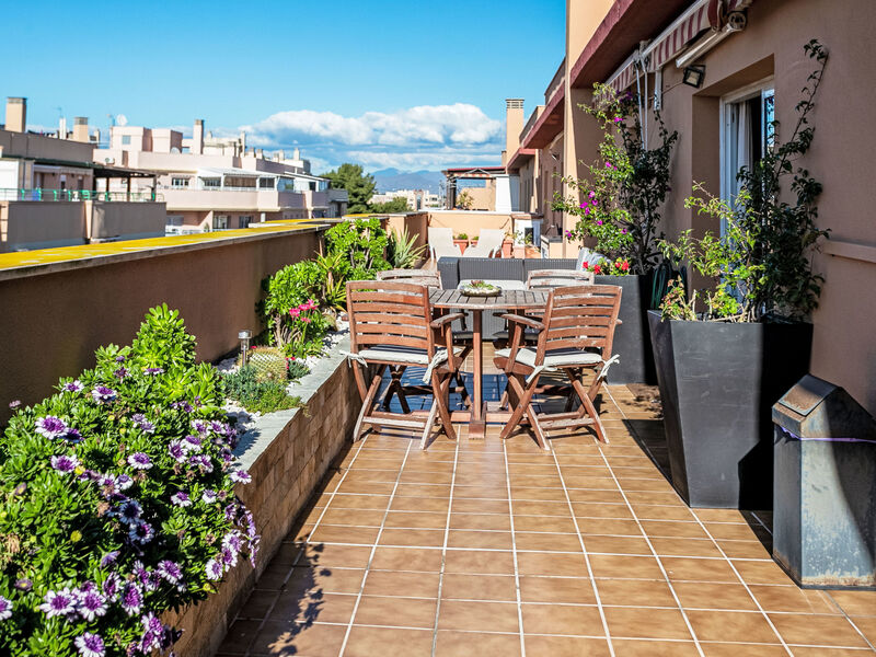 El Pinillo