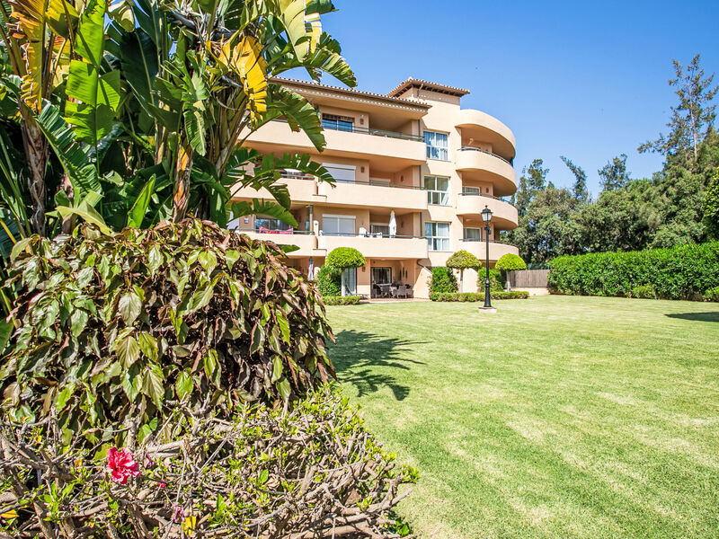 Los Patios De Santa Maria