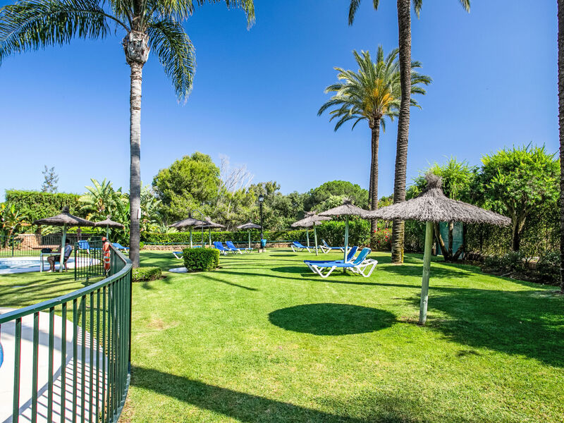 Los Patios De Santa Maria