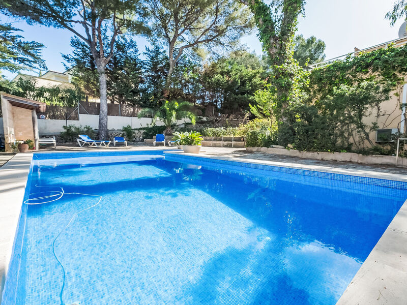 Entrepins Santa Ponça