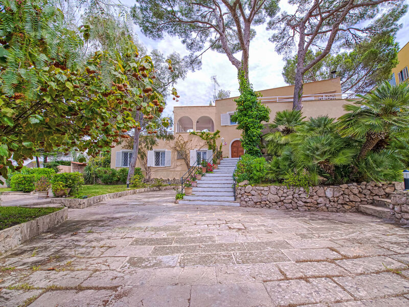 Entrepins Santa Ponça