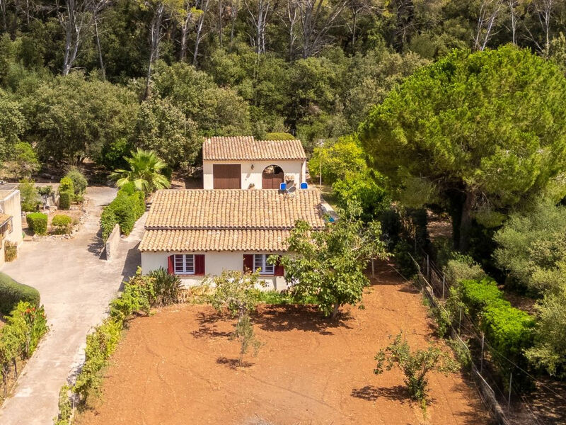 Ullastro Pollença