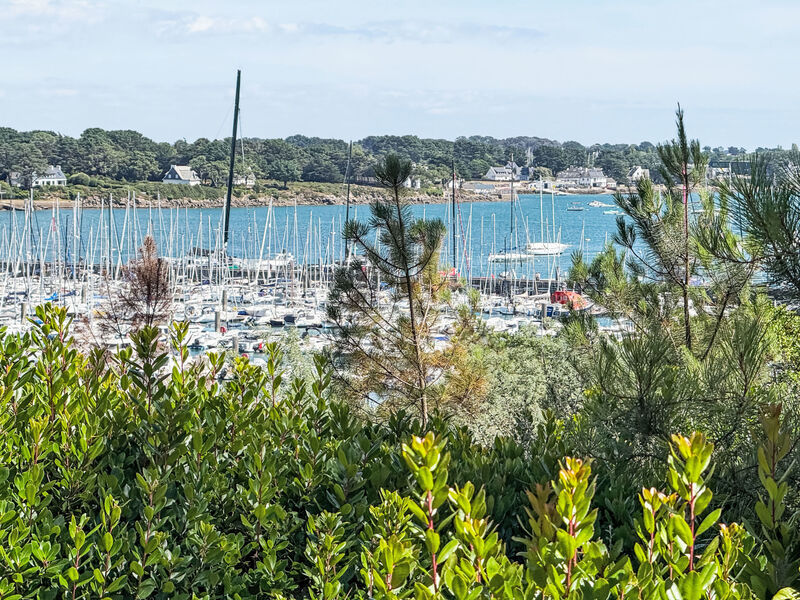 Les Terrasses du Port
