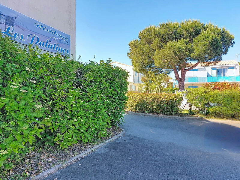 Les Palatines