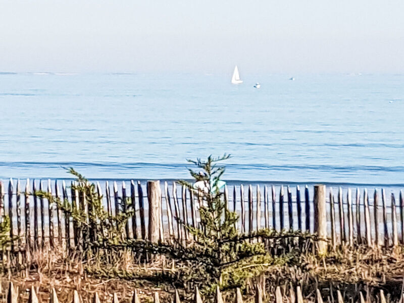 Le Nid d'Été