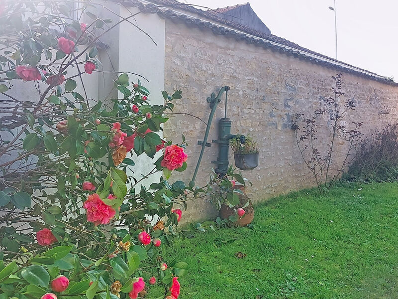 Le Château 3