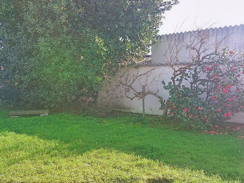 Le Château 3