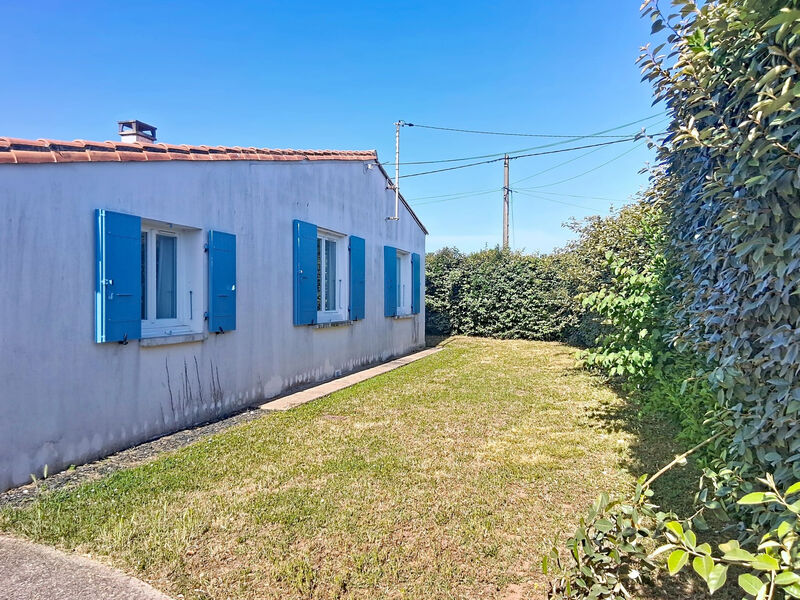 Les Tamarix