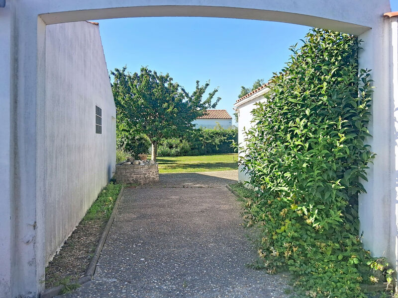 Les Tamarix