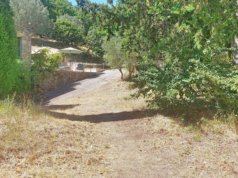 Les Sources