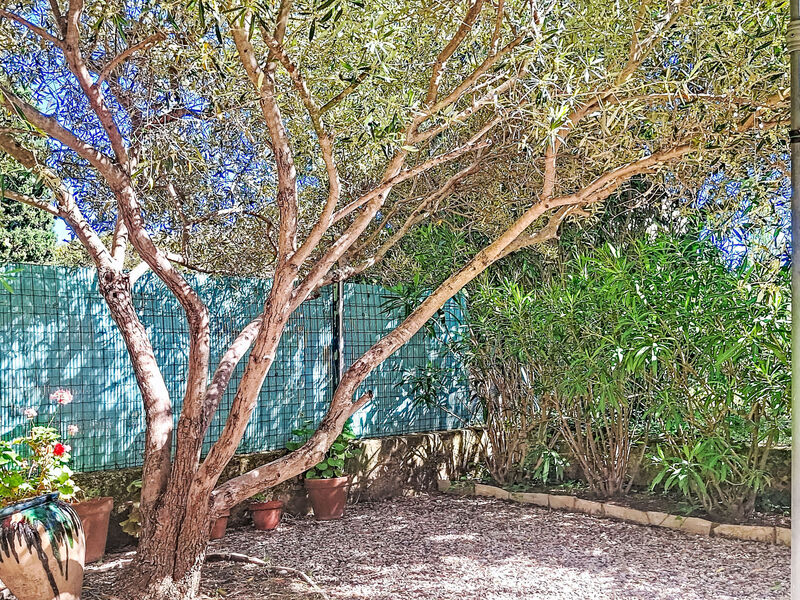 Vila le Cédre 17