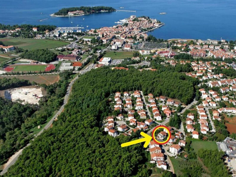 Vera