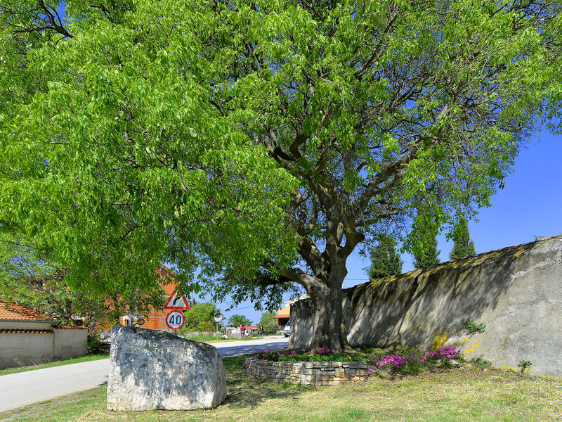 Apartmán 1838